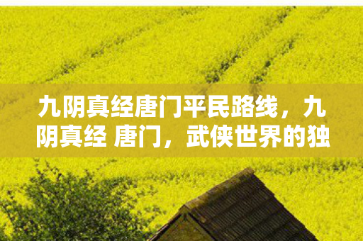 九阴真经唐门平民路线,九阴真经 唐门,武侠世界的独特门派 九阴真经唐门平民路线,九阴真经 唐门,武侠世界的独特门派
