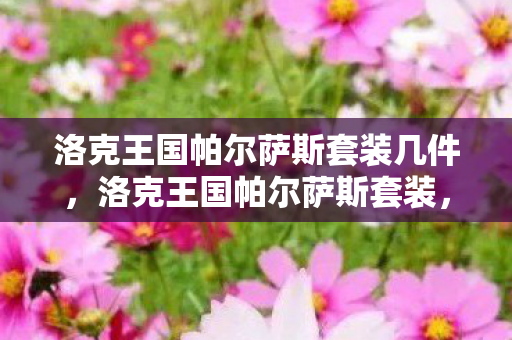洛克王国帕尔萨斯套装几件，洛克王国帕尔萨斯套装，传奇装备的魅力与探索