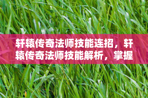 轩辕传奇法师技能连招,轩辕传奇法师技能解析,掌握元素之力的奥秘 轩辕传奇法师技能连招,轩辕传奇法师技能解析,掌握元素之力的奥秘