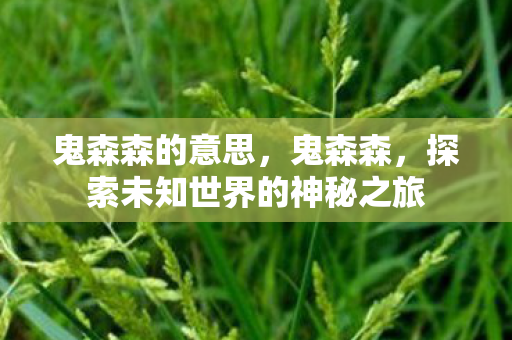 鬼森森的意思,鬼森森,探索未知世界的神秘之旅 鬼森森的意思,鬼森森,探索未知世界的神秘之旅
