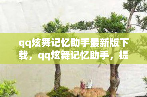 qq炫舞记忆助手最新版下载，qq炫舞记忆助手，提升游戏效率，重温经典旋律
