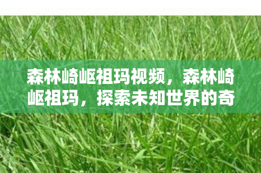 森林崎岖祖玛视频,森林崎岖祖玛,探索未知世界的奇幻之旅 森林崎岖祖玛视频,森林崎岖祖玛,探索未知世界的奇幻之旅