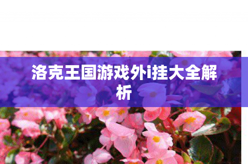 洛克王国游戏外i挂大全解析 洛克王国游戏外i挂大全解析