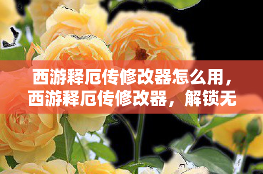 西游释厄传修改器怎么用,西游释厄传修改器,解锁无限可能的冒险之旅 西游释厄传修改器怎么用,西游释厄传修改器,解锁无限可能的冒险之旅