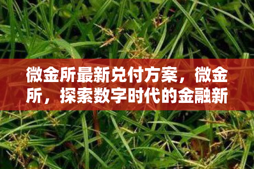 微金所最新兑付方案,微金所,探索数字时代的金融新生态 微金所最新兑付方案,微金所,探索数字时代的金融新生态