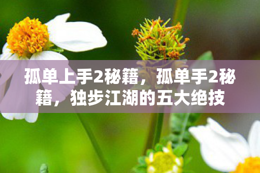孤单上手2秘籍,孤单手2秘籍,独步江湖的五大绝技 孤单上手2秘籍,孤单手2秘籍,独步江湖的五大绝技