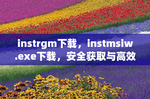 instrgm下载,instmsiw.exe下载,安全获取与高效使用的全面指南 instrgm下载,instmsiw.exe下载,安全获取与高效使用的全面指南