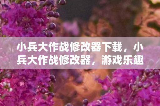 小兵大作战修改器下载,小兵大作战修改器,游戏乐趣的无限延伸 小兵大作战修改器下载,小兵大作战修改器,游戏乐趣的无限延伸