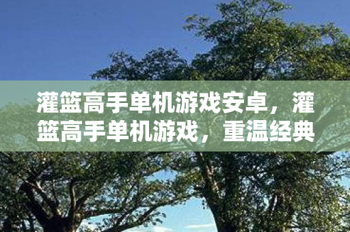 灌篮高手单机游戏安卓，灌篮高手单机游戏，重温经典，挑战自我