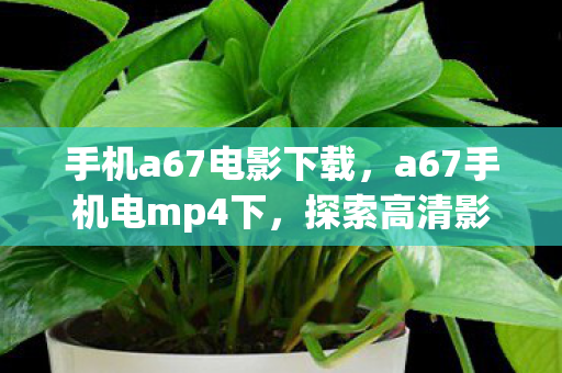 手机a67电影下载,a67手机电mp4下,探索高清影音的无限可能 手机a67电影下载,a67手机电mp4下,探索高清影音的无限可能