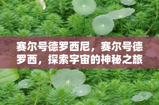 赛尔号德罗西尼，赛尔号德罗西，探索宇宙的神秘之旅