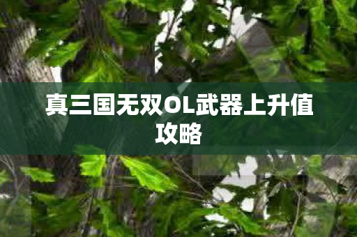真三国无双OL武器上升值攻略 真三国无双OL武器上升值攻略
