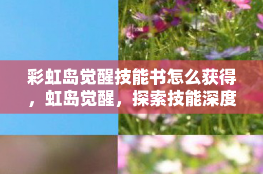 彩虹岛觉醒技能书怎么获得,虹岛觉醒,探索技能深度解析与实战应用 彩虹岛觉醒技能书怎么获得,虹岛觉醒,探索技能深度解析与实战应用
