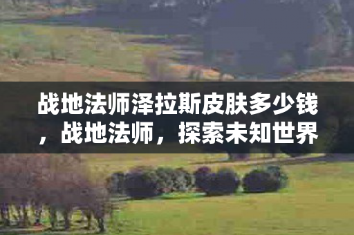 战地法师泽拉斯皮肤多少钱,战地法师,探索未知世界的魔法之旅 战地法师泽拉斯皮肤多少钱,战地法师,探索未知世界的魔法之旅