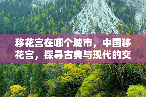 移花宫在哪个城市,中国移花宫,探寻古典与现代的交融之美 移花宫在哪个城市,中国移花宫,探寻古典与现代的交融之美