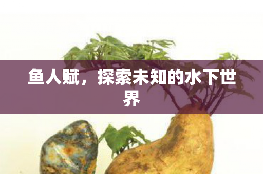 鱼人赋,探索未知的水下世界 鱼人赋,探索未知的水下世界
