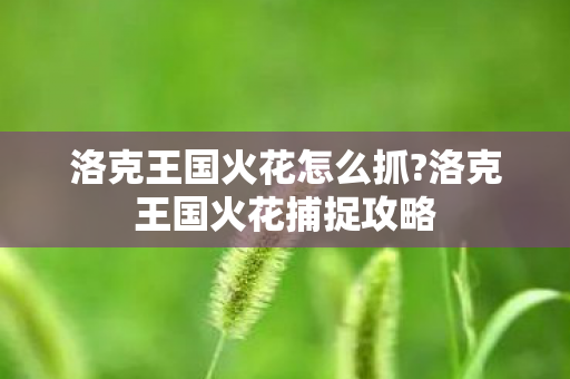 洛克王国火花怎么抓?洛克王国火花捕捉攻略 洛克王国火花怎么抓?洛克王国火花捕捉攻略