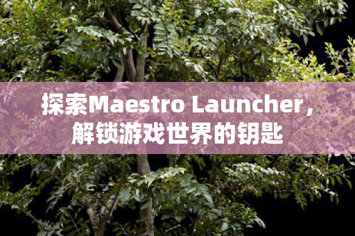 探索Maestro Launcher,解锁游戏世界的钥匙 探索Maestro Launcher,解锁游戏世界的钥匙