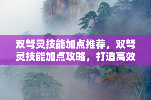 双弩灵技能加点推荐,双弩灵技能加点攻略,打造高效战斗力的关键 双弩灵技能加点推荐,双弩灵技能加点攻略,打造高效战斗力的关键