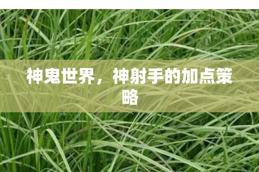 神鬼世界,神射手的加点策略 神鬼世界,神射手的加点策略