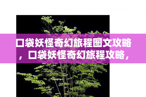 口袋妖怪奇幻旅程图文攻略,口袋妖怪奇幻旅程攻略,探索未知,收集神奇宝贝的奇幻之旅 口袋妖怪奇幻旅程图文攻略,口袋妖怪奇幻旅程攻略,探索未知,收集神奇宝贝的奇幻之旅
