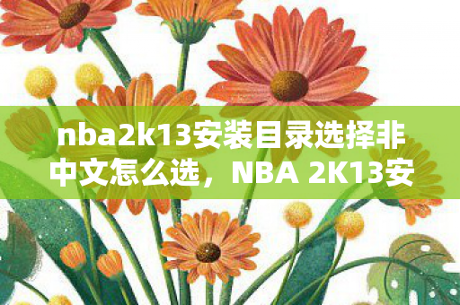 nba2k13安装目录选择非中文怎么选,NBA 2K13安装指南,轻松解决安装难题 nba2k13安装目录选择非中文怎么选,NBA 2K13安装指南,轻松解决安装难题