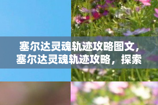 塞尔达灵魂轨迹攻略图文,塞尔达灵魂轨迹攻略,探索未知世界的奇妙之旅 塞尔达灵魂轨迹攻略图文,塞尔达灵魂轨迹攻略,探索未知世界的奇妙之旅