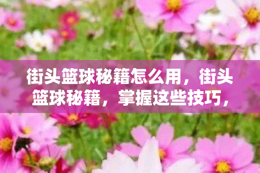 街头篮球秘籍怎么用,街头篮球秘籍,掌握这些技巧,称霸球场! 街头篮球秘籍怎么用,街头篮球秘籍,掌握这些技巧,称霸球场!