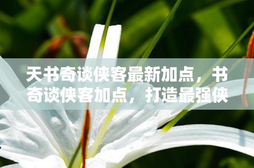 天书奇谈侠客最新加点,书奇谈侠客加点,打造最强侠客,点亮你的江湖之路 天书奇谈侠客最新加点,书奇谈侠客加点,打造最强侠客,点亮你的江湖之路