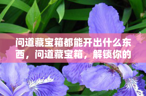 问道藏宝箱都能开出什么东西，问道藏宝箱，解锁你的游戏宝藏