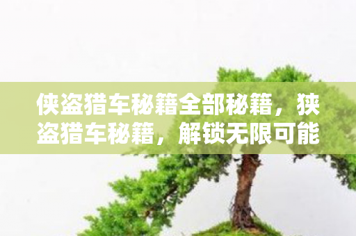 侠盗猎车秘籍全部秘籍，狭盗猎车秘籍，解锁无限可能的秘籍大全