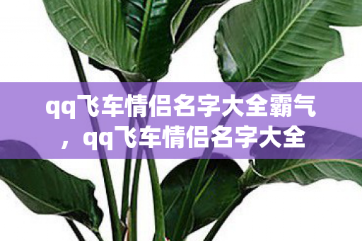 qq飞车情侣名字大全霸气,qq飞车情侣名字大全 qq飞车情侣名字大全霸气,qq飞车情侣名字大全