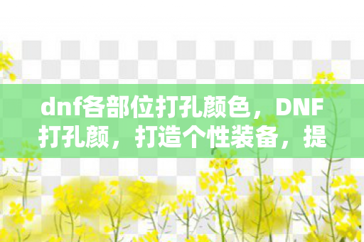 dnf各部位打孔颜色，DNF打孔颜，打造个性装备，提升角色实力