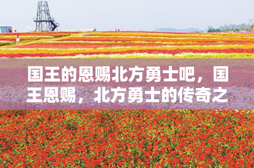 国王的恩赐北方勇士吧，国王恩赐，北方勇士的传奇之旅