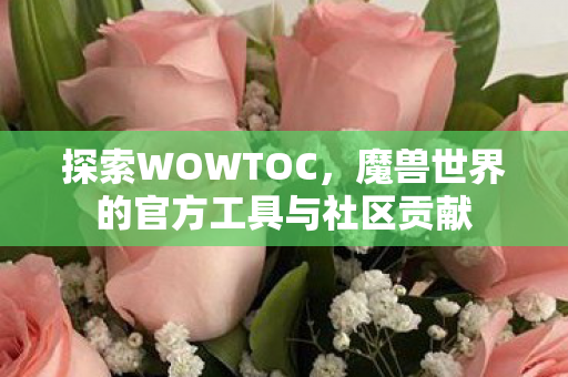 探索WOWTOC,魔兽世界的官方工具与社区贡献 探索WOWTOC,魔兽世界的官方工具与社区贡献