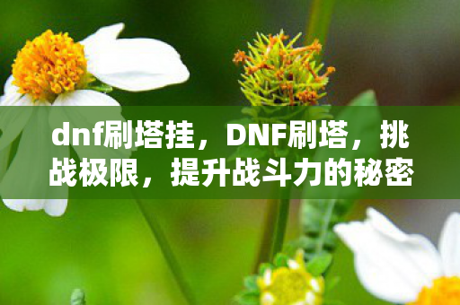 dnf刷塔挂,DNF刷塔,挑战极限,提升战斗力的秘密途径 dnf刷塔挂,DNF刷塔,挑战极限,提升战斗力的秘密途径