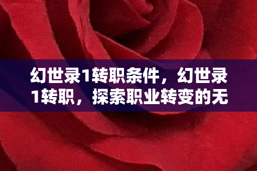幻世录1转职条件,幻世录1转职,探索职业转变的无限可能 幻世录1转职条件,幻世录1转职,探索职业转变的无限可能
