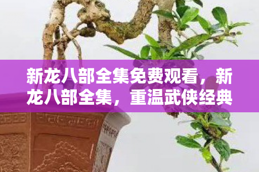 新龙八部全集免费观看,新龙八部全集,重温武侠经典,探寻江湖奥秘 新龙八部全集免费观看,新龙八部全集,重温武侠经典,探寻江湖奥秘