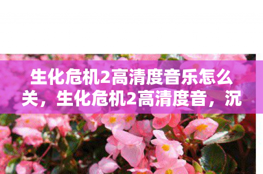 生化危机2高清度音乐怎么关,生化危机2高清度音,沉浸式体验与音效解析 生化危机2高清度音乐怎么关,生化危机2高清度音,沉浸式体验与音效解析