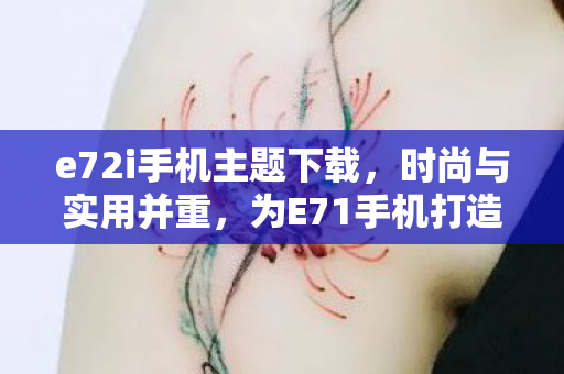 e72i手机主题下载，时尚与实用并重，为E71手机打造独特主题