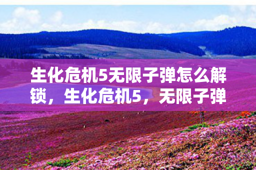 生化危机5无限子弹怎么解锁，生化危机5，无限子弹的传奇之旅