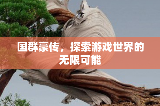 国群豪传,探索游戏世界的无限可能 国群豪传,探索游戏世界的无限可能