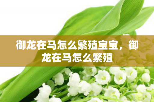 御龙在马怎么繁殖宝宝,御龙在马怎么繁殖 御龙在马怎么繁殖宝宝,御龙在马怎么繁殖