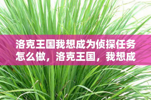 洛克王国我想成为侦探任务怎么做,洛克王国,我想成为侦探 洛克王国我想成为侦探任务怎么做,洛克王国,我想成为侦探