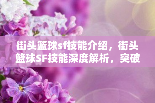 街头篮球sf技能介绍，街头篮球SF技能深度解析，突破重围与精准投射