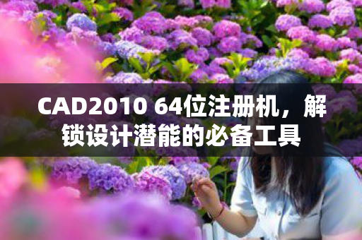 CAD2010 64位注册机图片