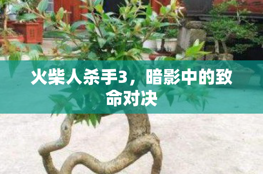 火柴人杀手3,暗影中的致命对决 火柴人杀手3,暗影中的致命对决