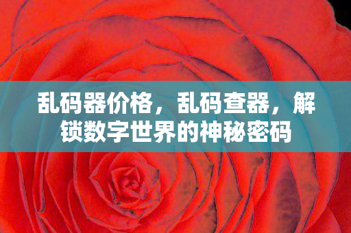 乱码器价格，乱码查器，解锁数字世界的神秘密码