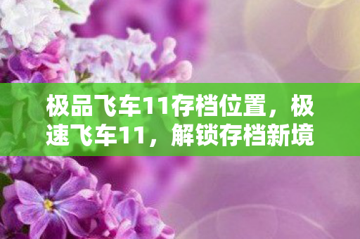 极品飞车11存档位置，极速飞车11，解锁存档新境界