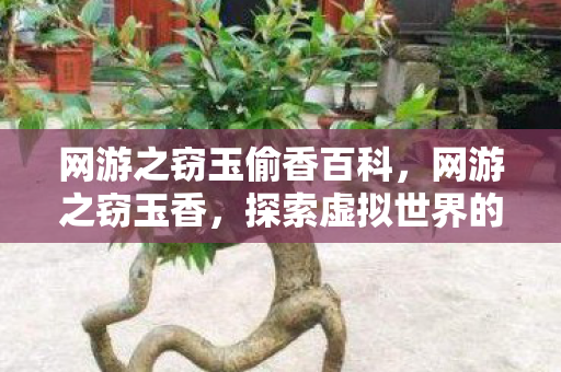 网游之窃玉偷香百科,网游之窃玉香,探索虚拟世界的无限可能 网游之窃玉偷香百科,网游之窃玉香,探索虚拟世界的无限可能